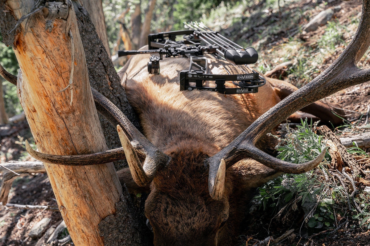 Built for the Mountain – MTN HNTR
